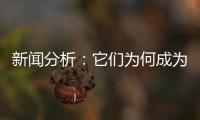 新闻分析：它们为何成为2020年度全国十大考古新发现
	？