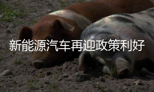 车再策利网联化和智能化
