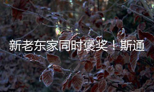 他在球场上无所畏惧