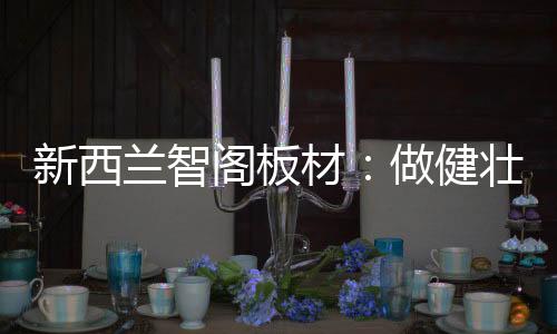 新西健壮平安的兰智家居环境