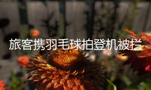 又不能以个人名义邮寄充电宝