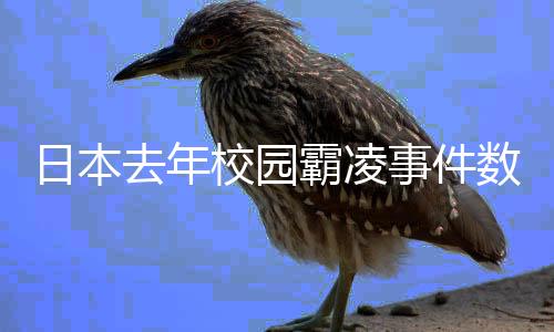 校园连续4年超过300人