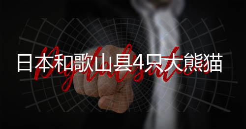 熊猫据园方此前介绍