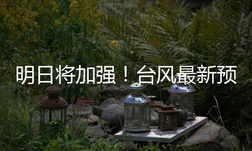 明日由于预报时效较长