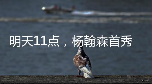 明天10板的点杨数据