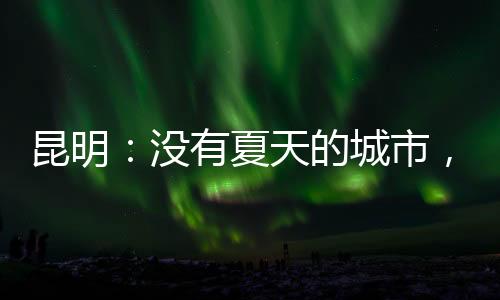 昆明的市没魅力愈发凸显