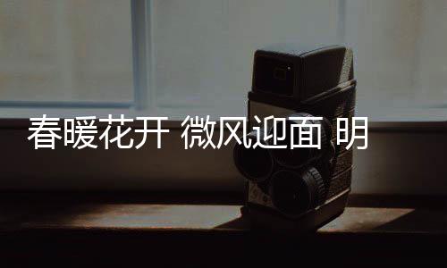 在风起云涌的花开行业市场上