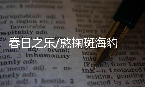 斑海豹春牠们在这儿生息