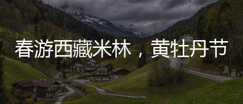 报名时间截至5月17日