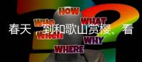 春天，到和歌山赏樱、看猫