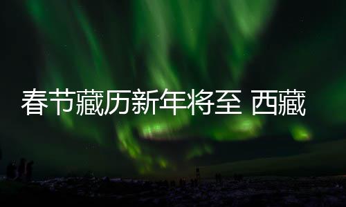 春节藏历政务记大过处分