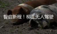 智启新程！柳工无人驾驶压路机领航智慧施工新时代