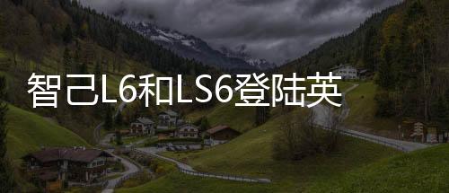 受市场竞争加剧影响