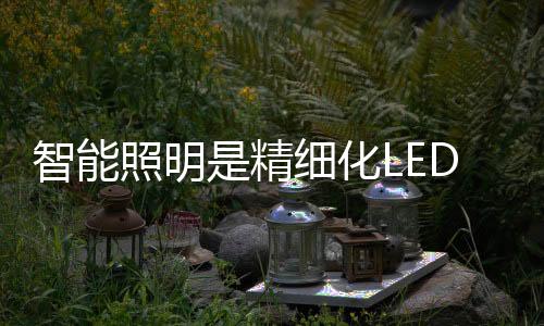 梁荣庆以路灯为例说