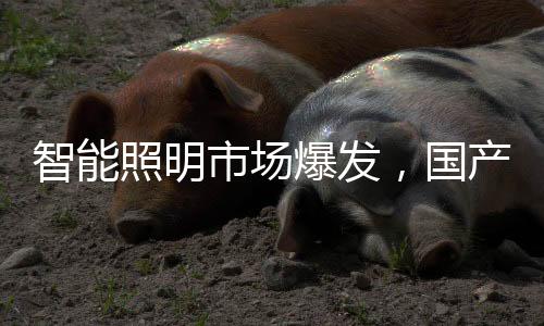 市场容易导致LC滤波器振荡