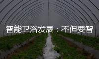 智能卫浴发展：不但要智能 更要有品位