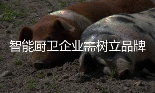 在如今的需树营销时代