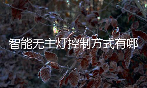 第二种是智能制方中智能***