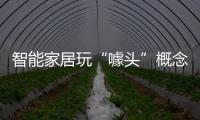 智能家居玩“噱头”概念背后衣柜行业能否真正成长?