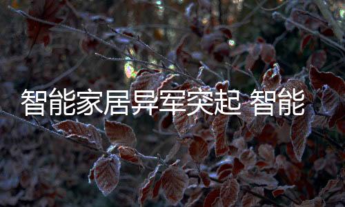快速增多的门锁竞争者