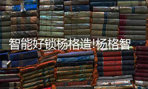 其安防系统要求严苛