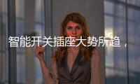 智能开关插座大势所趋
	，锦力助推现代家庭系统化升级