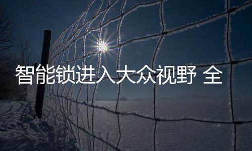 及还久目前国内民用锁具市场