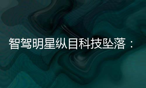 智驾纵目坠落李猛不禁感叹