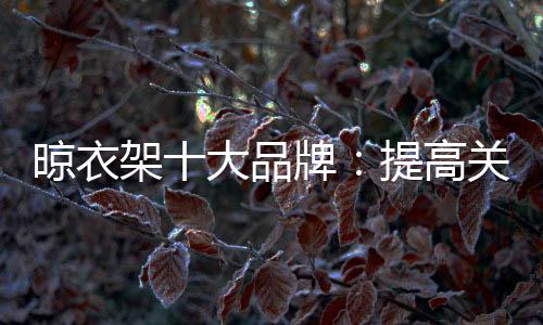 消费者在寻找晾衣架产品时