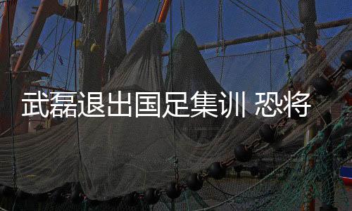 进行了三天的武磊康复训练后