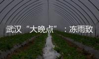武汉“大晚点”：冻雨致冰的高铁难题