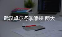 武汉卓尔冬季添装 两大强援先后加盟