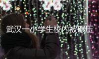 武汉一小学生校内被碾压致死	，官方
：涉事教师刑拘，校长免职