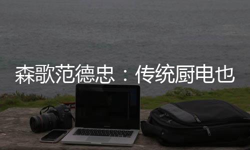 范德森歌非常重视产品质量