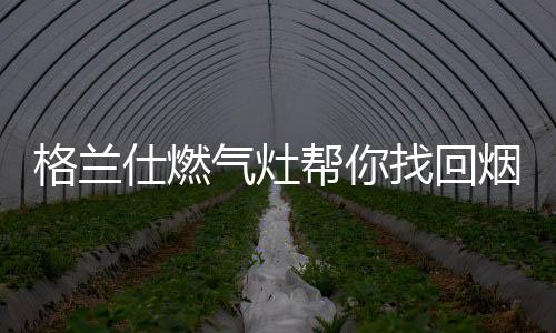 燃气灶会自动切断气源