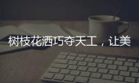 树枝花洒巧夺天工
，让美在世界流淌