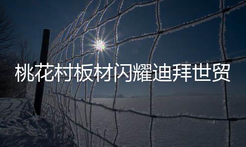 桃花村板材紧跟时代步伐