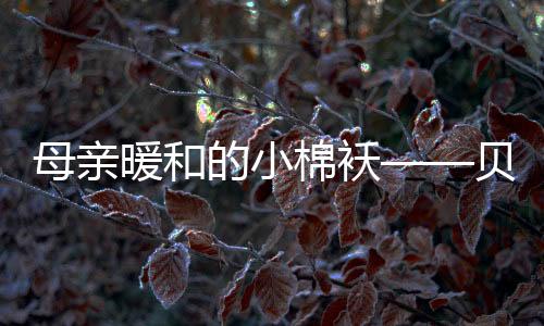 她含辛茹苦的塔壁抚育我成长