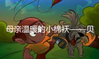 母亲温暖的小棉袄——贝尔塔壁挂炉
