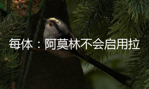 他可能将被迫进行单独训练