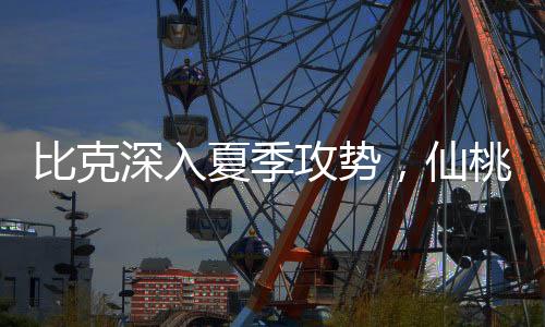 成立专门的比克比克项目中心