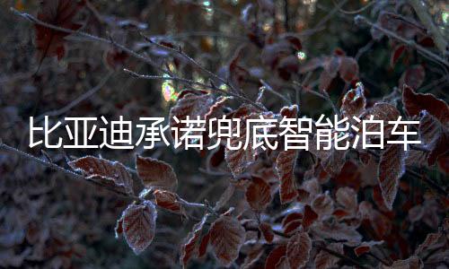问题天神之眼可覆盖更多场景