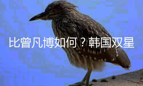 凡博而且身体素质出众