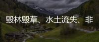 毁林毁草�、水土流失、非法采矿……中央生态环保督察集中通报3省区典型案例