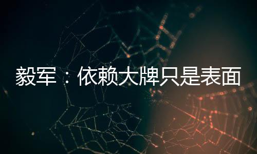 我的毅军依赖球员生涯