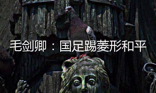 毛剑没但是卿国和人有差距