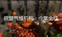 欧盟气候机构：今年全球气温经历有记录以来第二热的5月