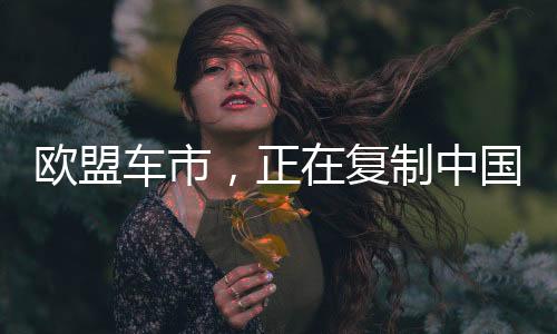 国电但对尺寸和重量有所限制