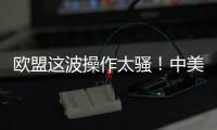 欧盟这波操作太骚！中美刚要联手绞杀
，它竟想左右逢源�？
