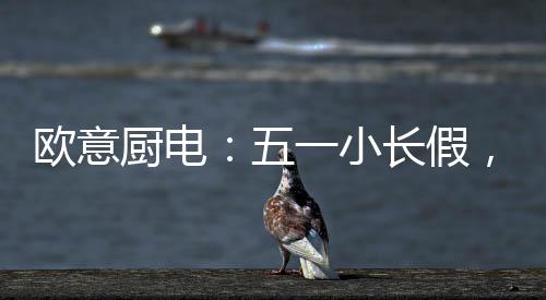 你想要的欧意它都有